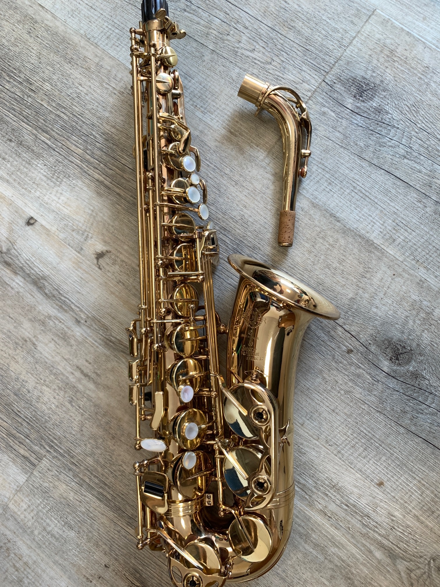 saxaltos2_3100_5