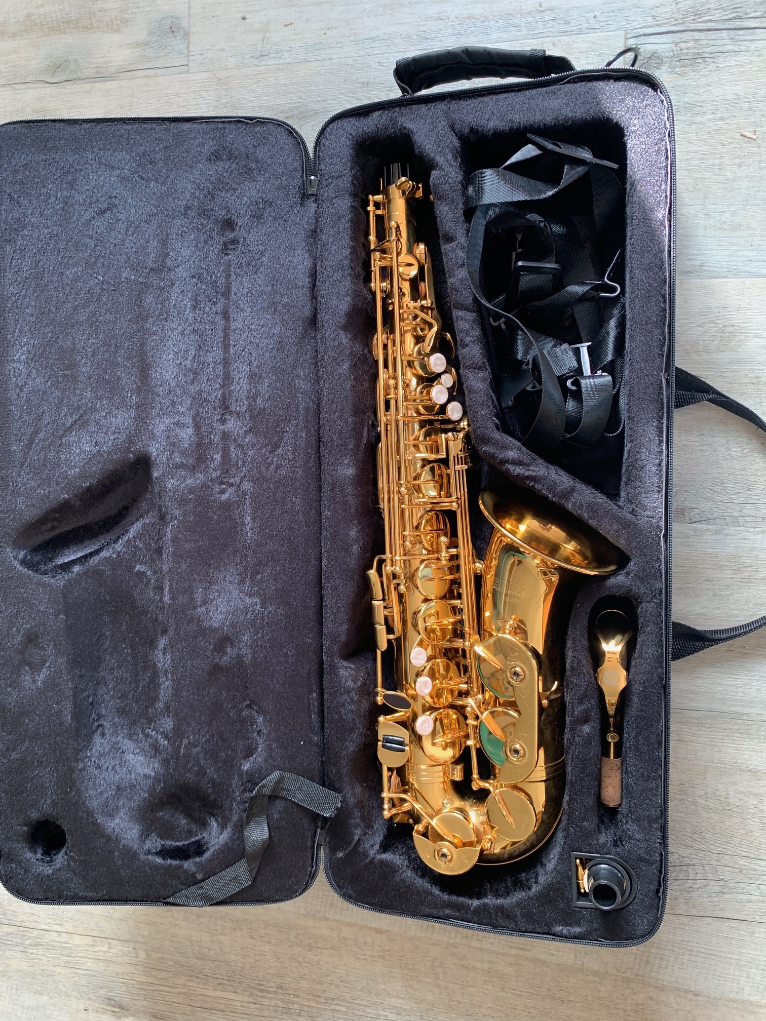 Saxophone pour enfants Roy Benson AS 201 saxophone_enfant_roy_benson_as_201_occasion_2