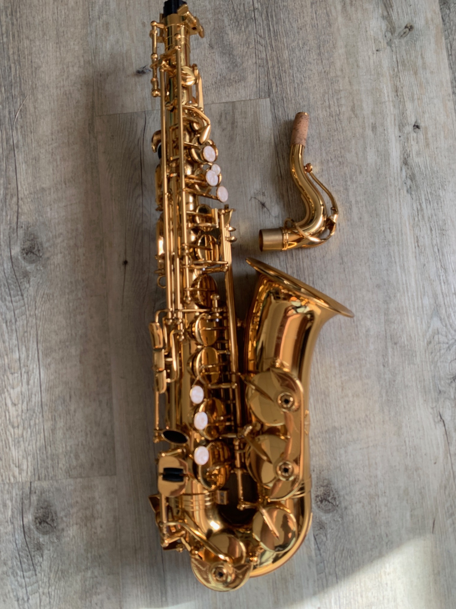 saxophone_enfant_roy_benson_as_201_occasion_4